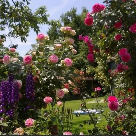 5 Sterne Rosengarten *