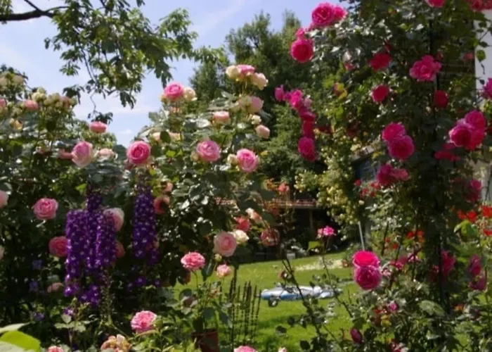4 Sterne Rosengarten *